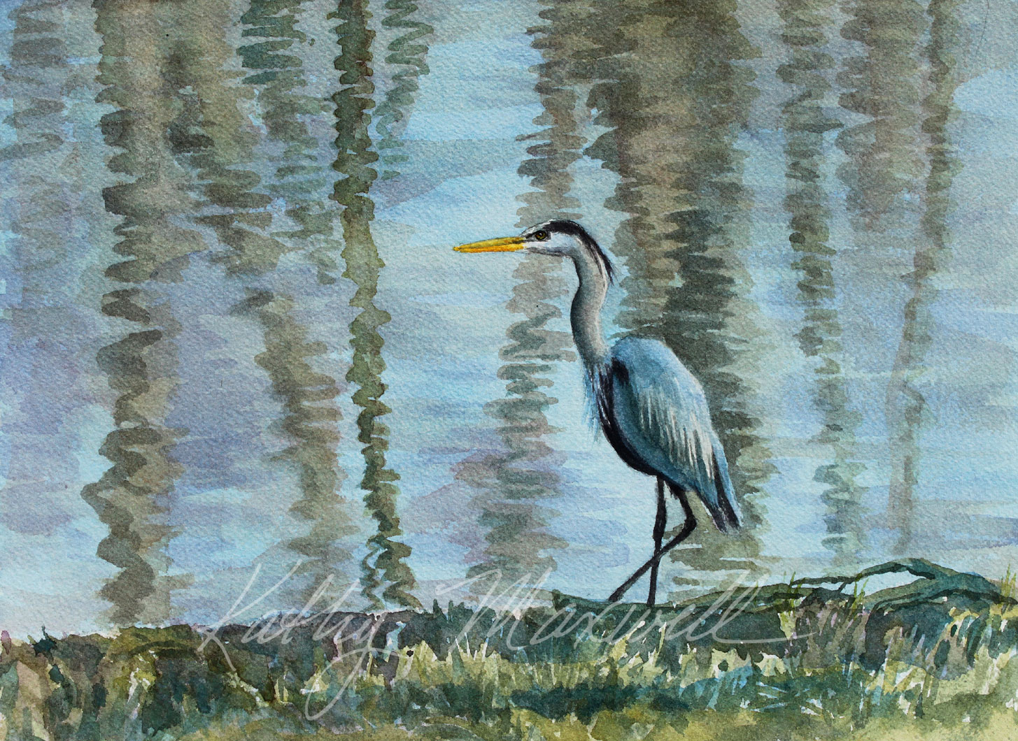 Great Blue Heron