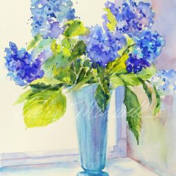 Barbara's Hydrangeas