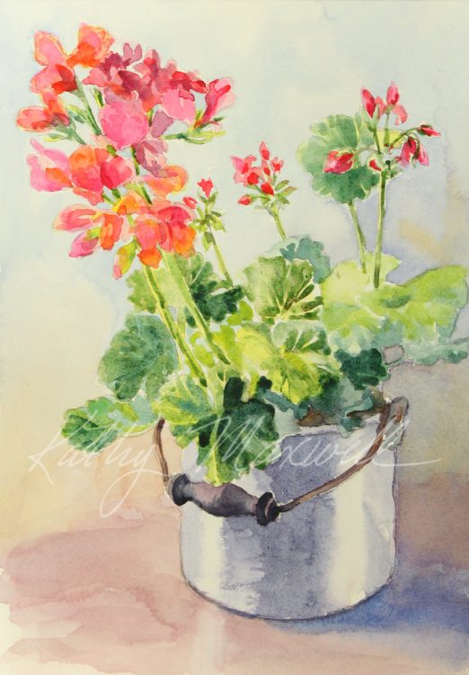 Geranium