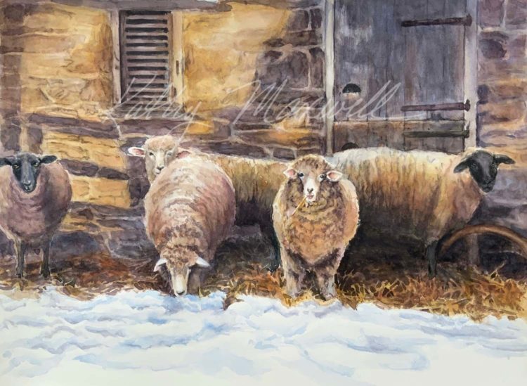 Snowed In Sheep