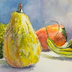 Warty Gourds