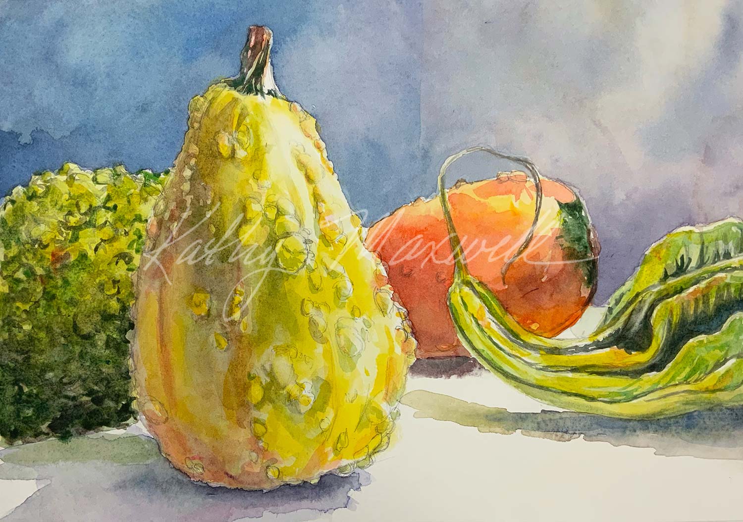 Warty Gourds