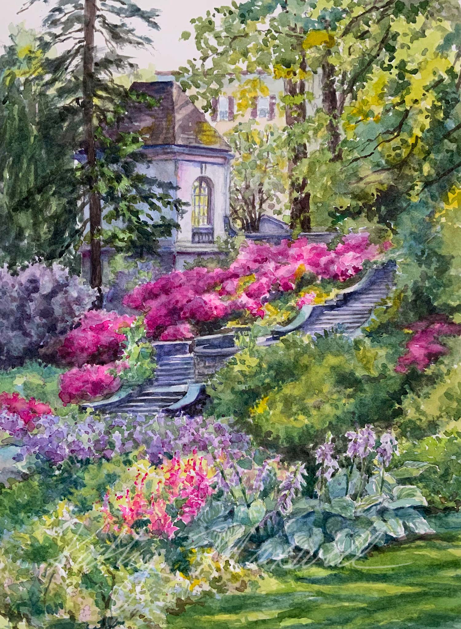 Azaleas at Winterthur by Kathy Maxwell