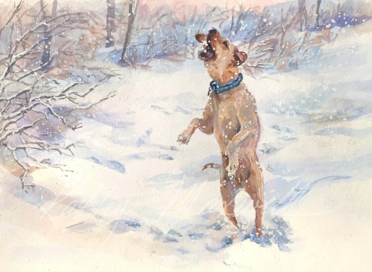 Macey Catching Snowflakes by Kathy Maxwell