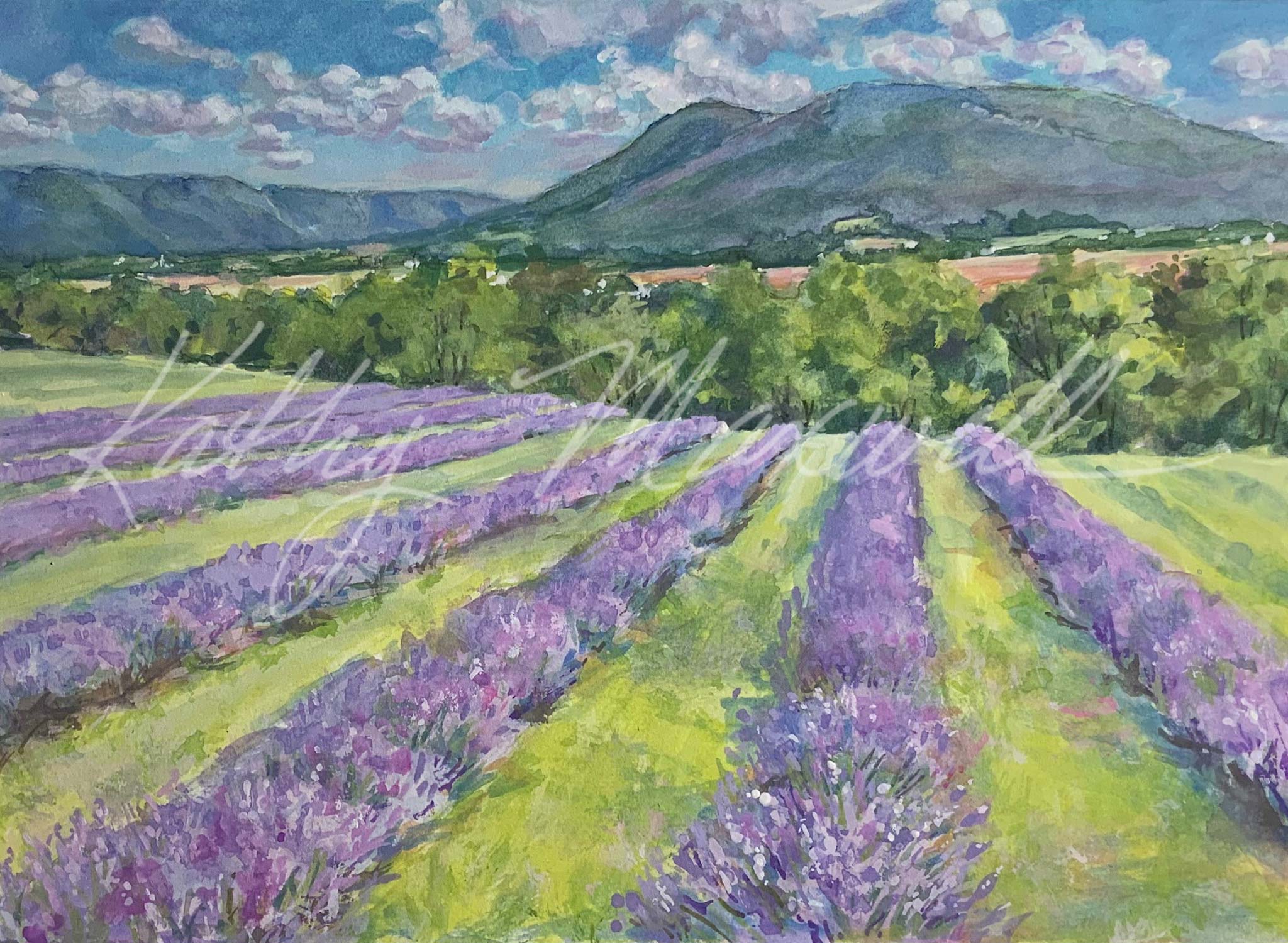 Sylvan Dell Lavender Farm by Kathy Maxwell